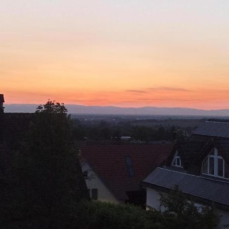 Ferienwohnung Vogesenblick มึลไฮม์ ภายนอก รูปภาพ