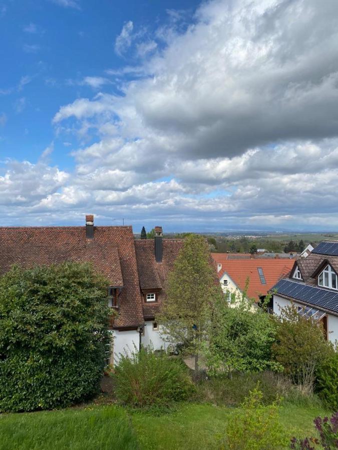 Ferienwohnung Vogesenblick มึลไฮม์ ภายนอก รูปภาพ