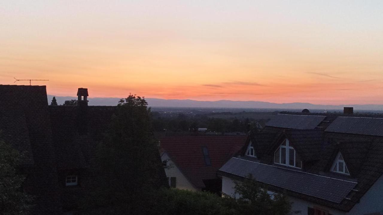 Ferienwohnung Vogesenblick มึลไฮม์ ภายนอก รูปภาพ